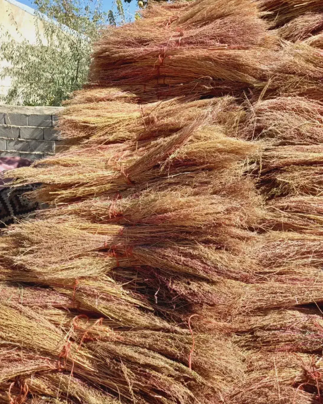 جارو فراشی|لوازم نظافت|سرپل ذهاب, |دیوار