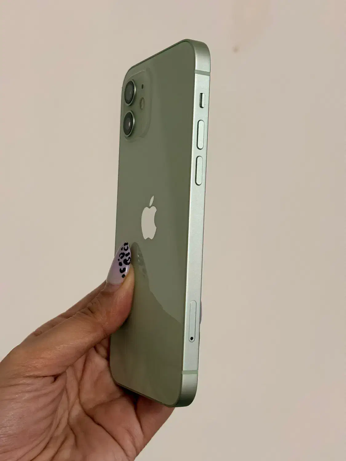 آیفون ۱۲ معمولی ۲سیم|موبایل|شهرکرد, |دیوار