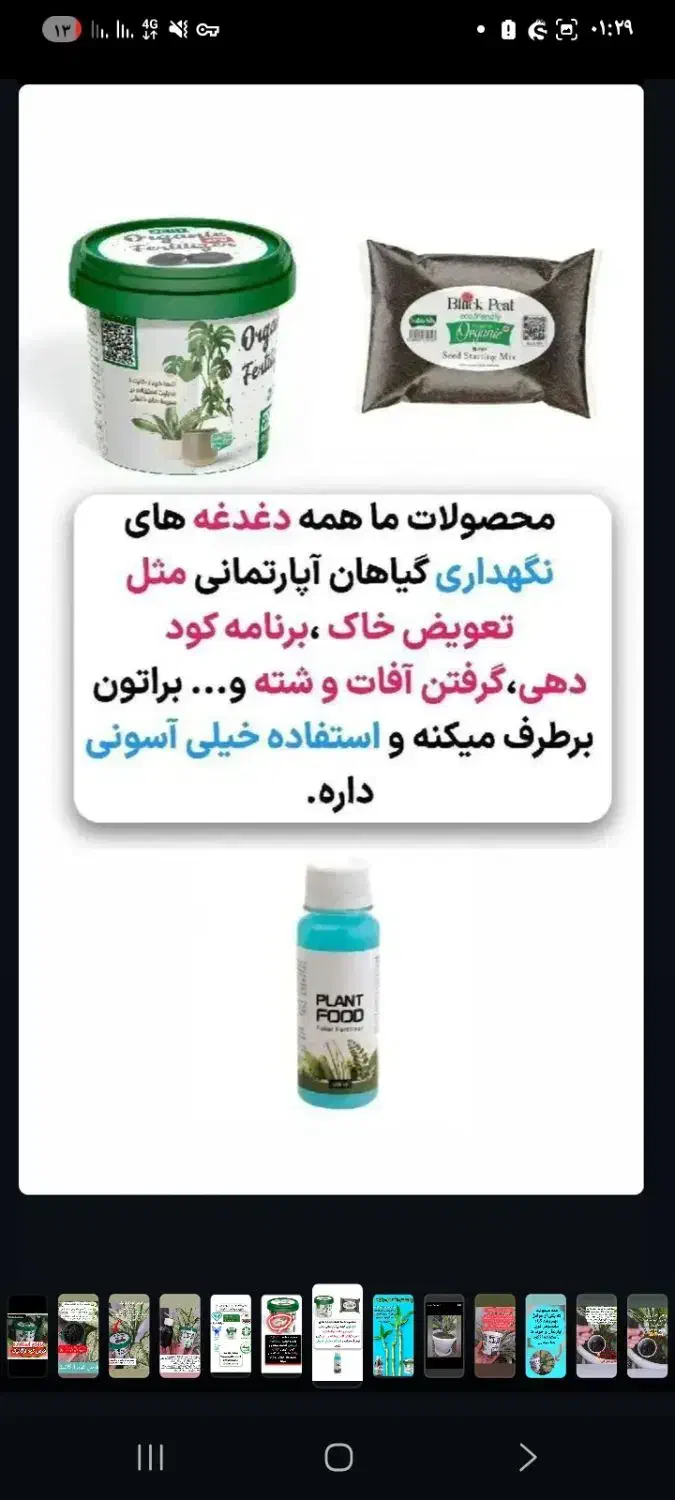 قرص کود|گل و گیاه طبیعی|ماکو, |دیوار