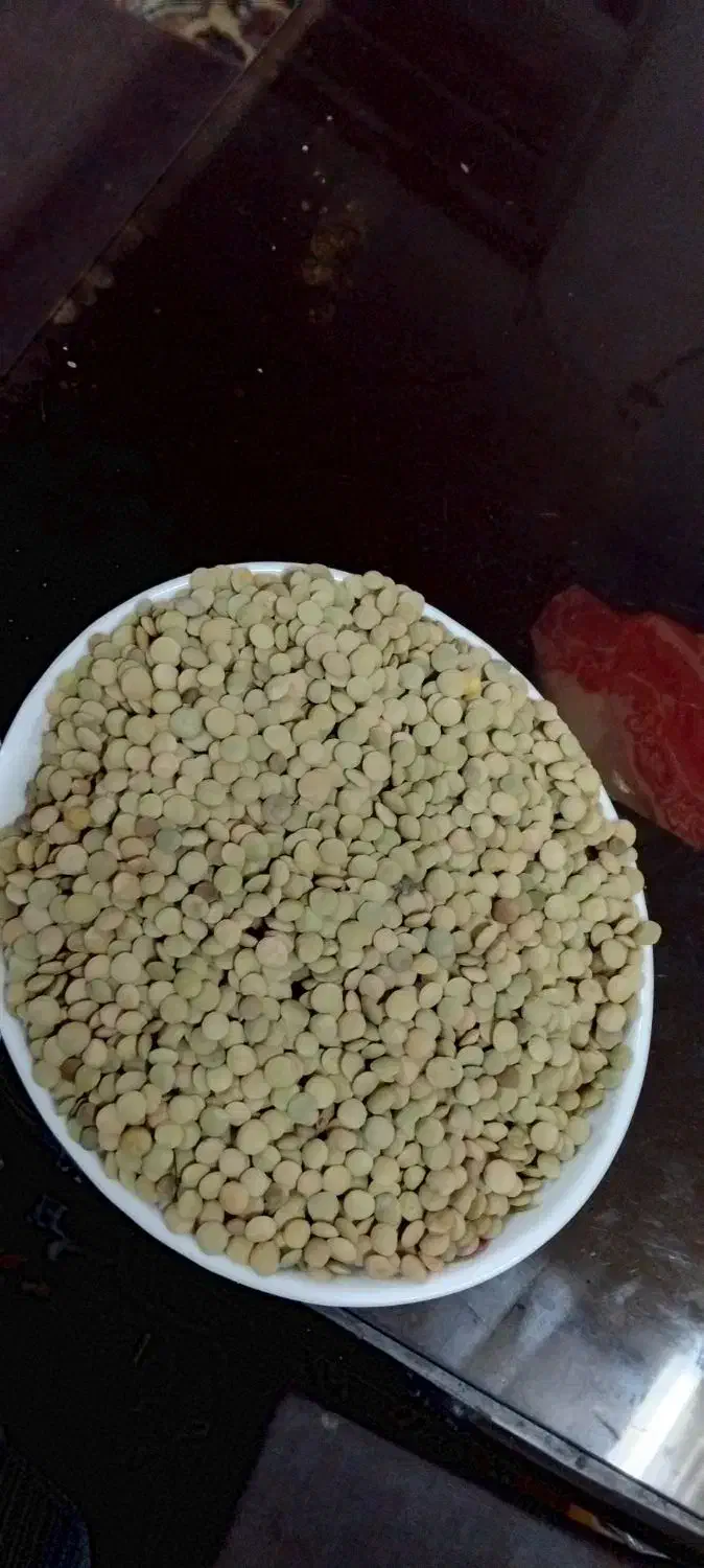 عنبربو ۱۹۵۰ هاشمی ۲۸۵وعدس ونخود۱۲۵ لوبیا چیتی۳۸۰|خوردنی و آشامیدنی|تهران, سلیمانی|دیوار