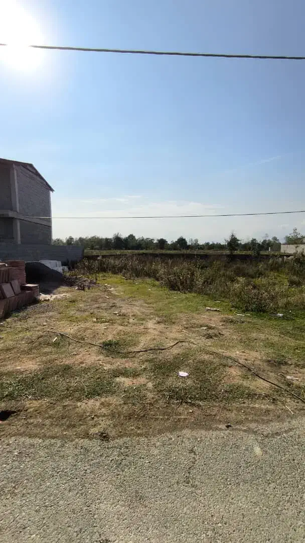 255متر زمین مسکونی روستایی|فروش زمین و ملک کلنگی|رضوانشهر, |دیوار