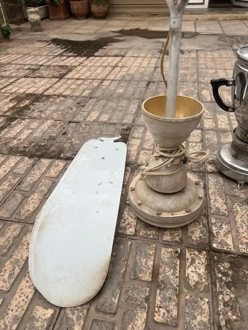 لوازم خانه|فرش|کرمان, |دیوار