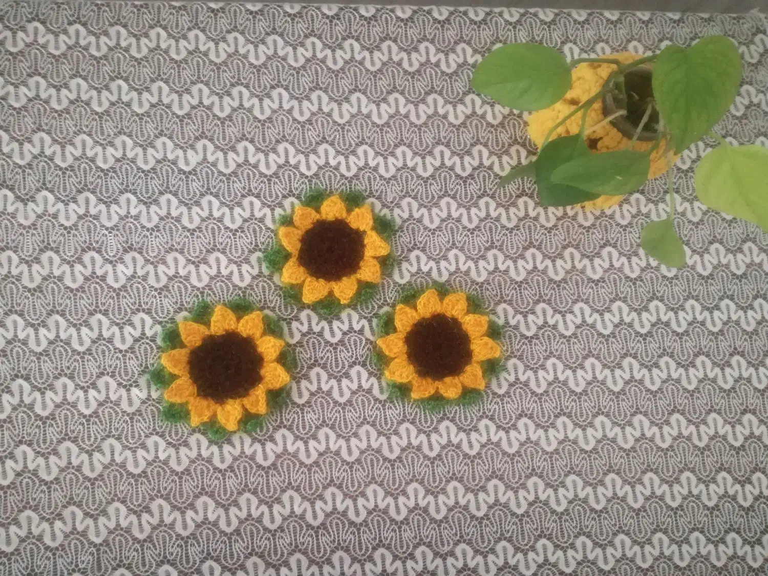 انواع اسکاج قبول سفارشات عمده|لوازم نظافت|بهمن صغاد, |دیوار