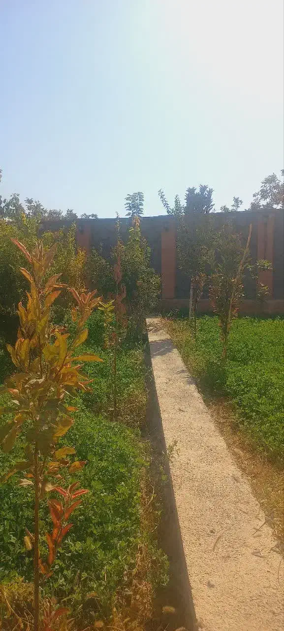 باغ ویلا شیک درجزین|فروش زمین و ملک کلنگی|مهدی شهر, |دیوار