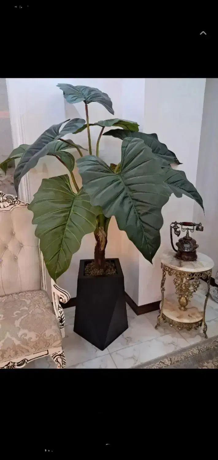 آلو کازیا درخچه|گل مصنوعی|تهران, مشیریه|دیوار