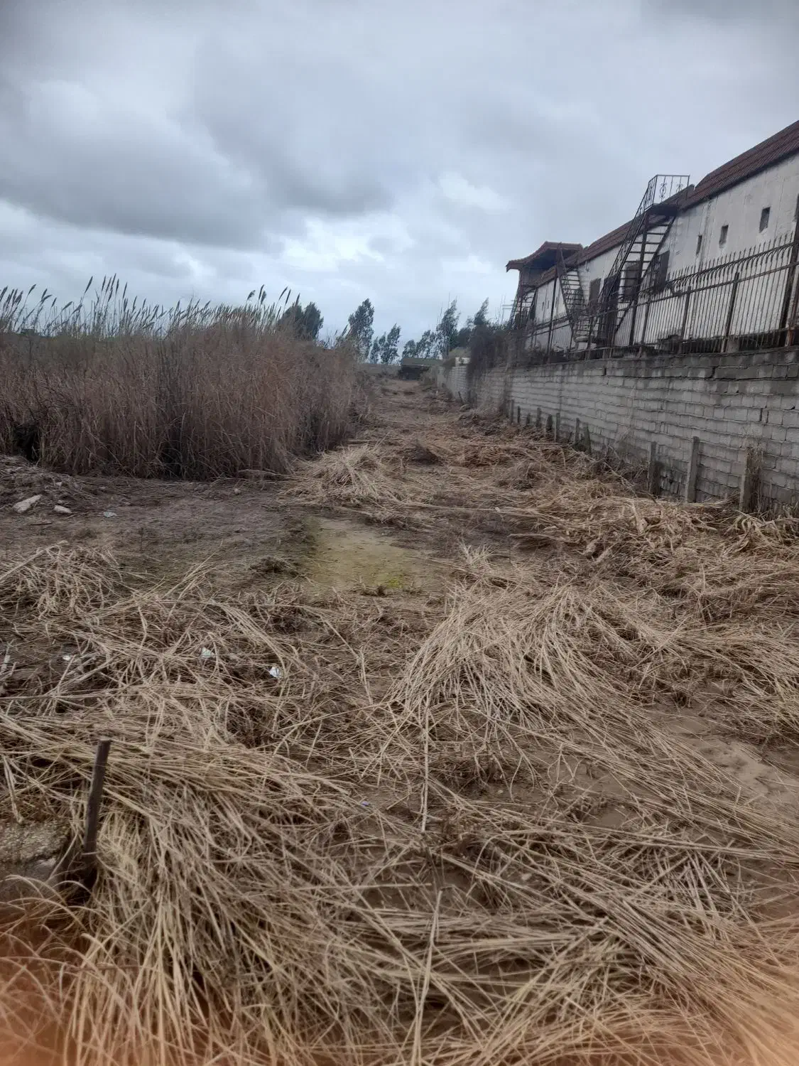 زمین ساحلی|فروش خانه و ویلا|طبقده, |دیوار