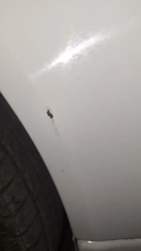 رانا پلاس ۱۴۰۴|خودرو سواری و وانت|کرمانشاه, |دیوار