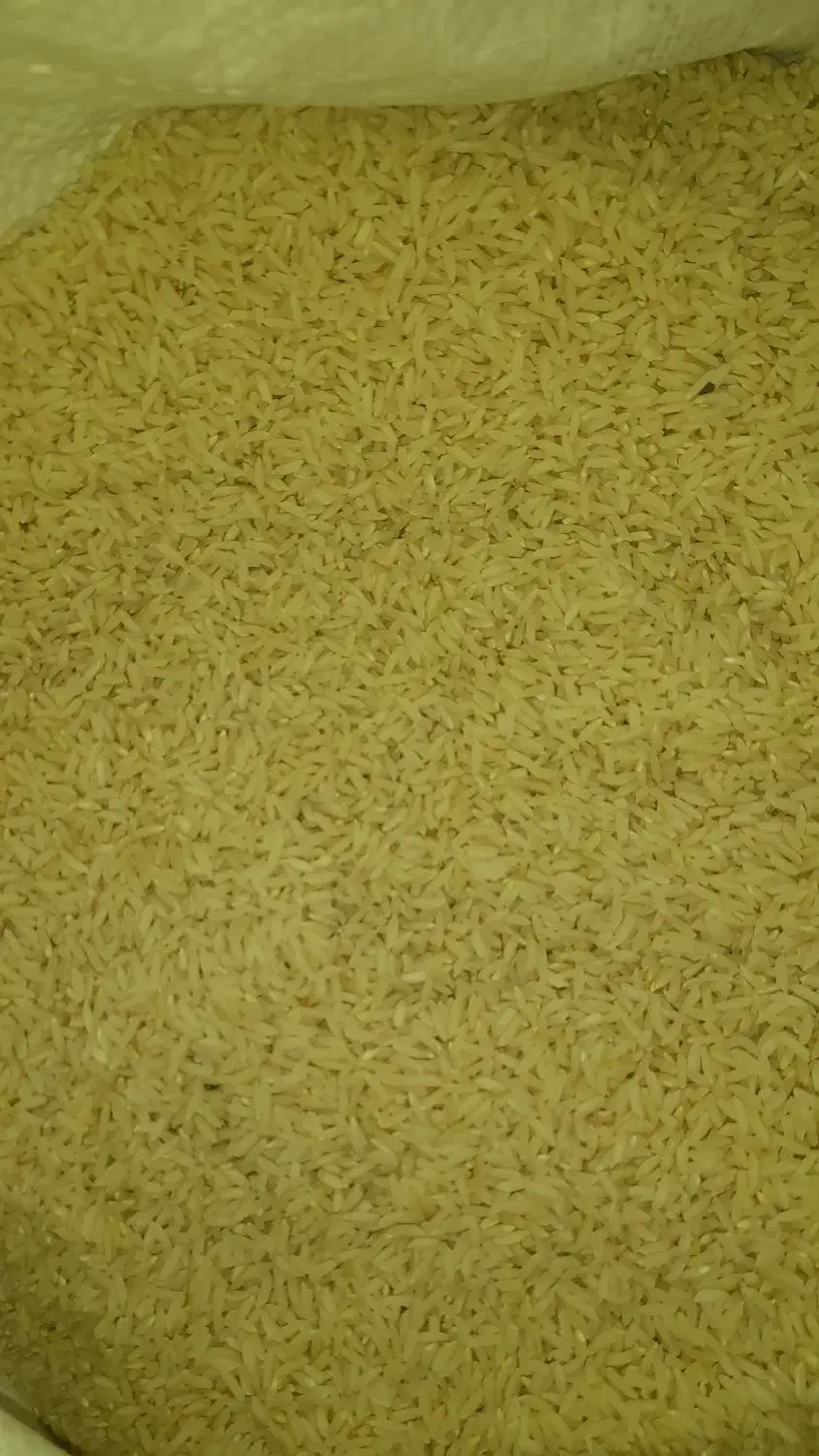 ۱۰۰کیلو برنج|خوردنی و آشامیدنی|دورود, |دیوار