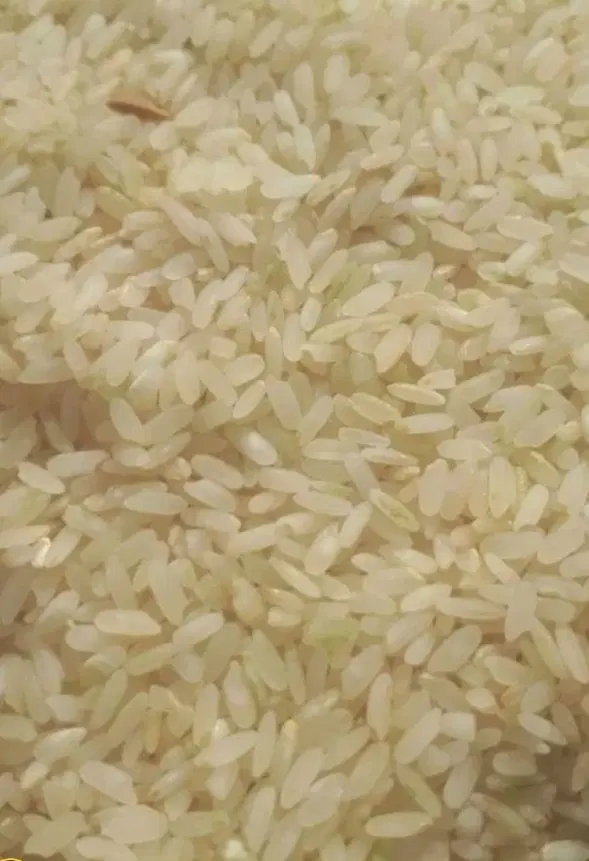 برنج کامفیروزی|خوردنی و آشامیدنی|شیراز, شریفآباد|دیوار