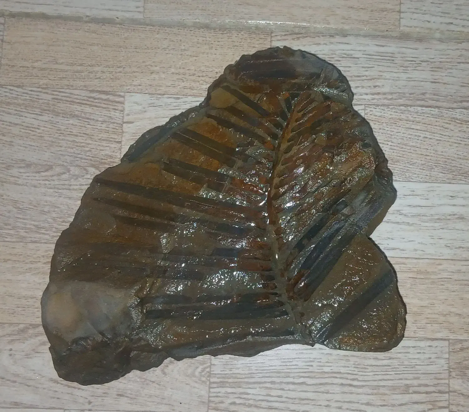 فسیل|کلکسیون اشیاء عتیقه|تهران, طرشت|دیوار