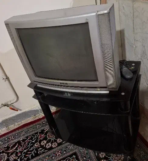 تلویزیون ،فرش،پیک نیک|فرش|محمدیه-قزوین, |دیوار