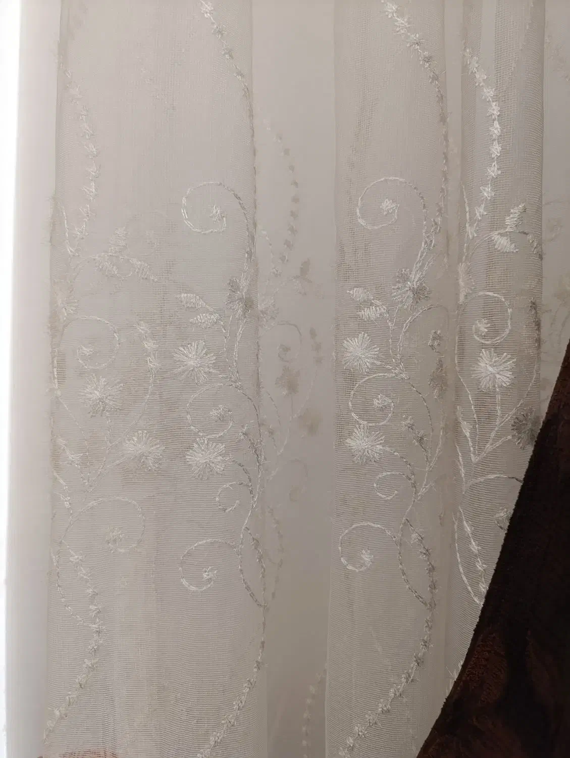 پرده پذیرایی|پرده، رانر، رومیزی|تربتحیدریه, بالا ولایت|دیوار