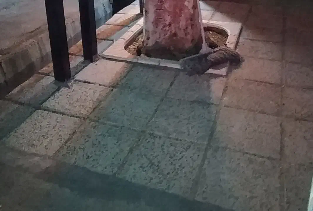 بنا|خدمات پیشه و مهارت|شیراز, مسلم|دیوار