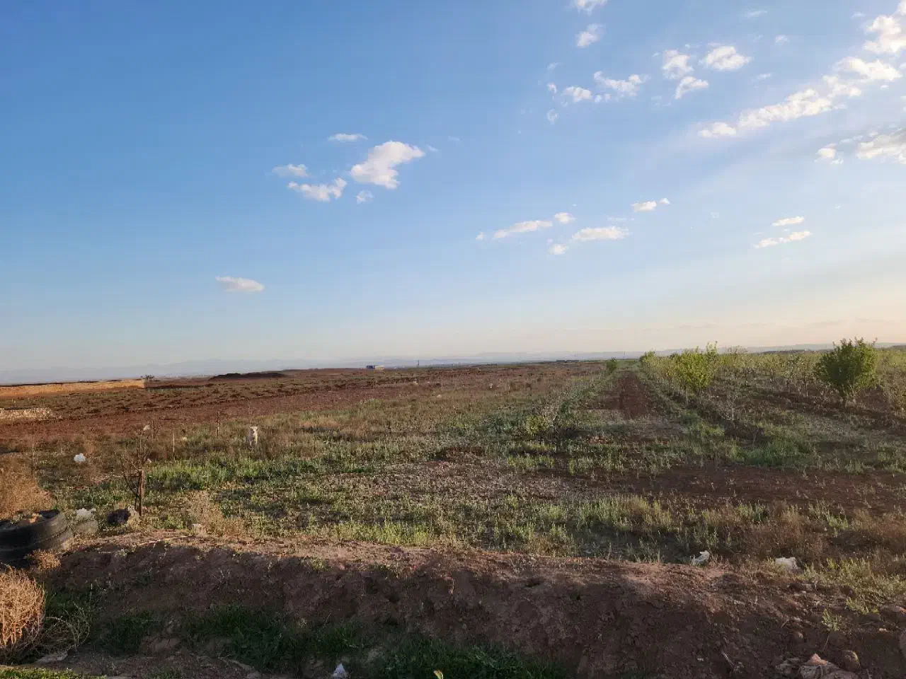 فروش زمین کشاورزی واقع در جاده کاشمر|فروش زمین و ملک کلنگی|نیشابور, ریوند|دیوار