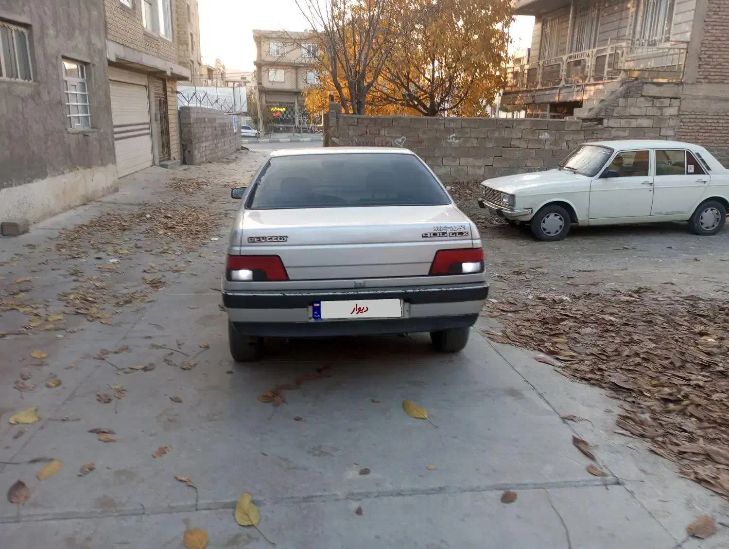 پژو 89 دوتیکه رنگ|خودرو سواری و وانت|بانه, |دیوار