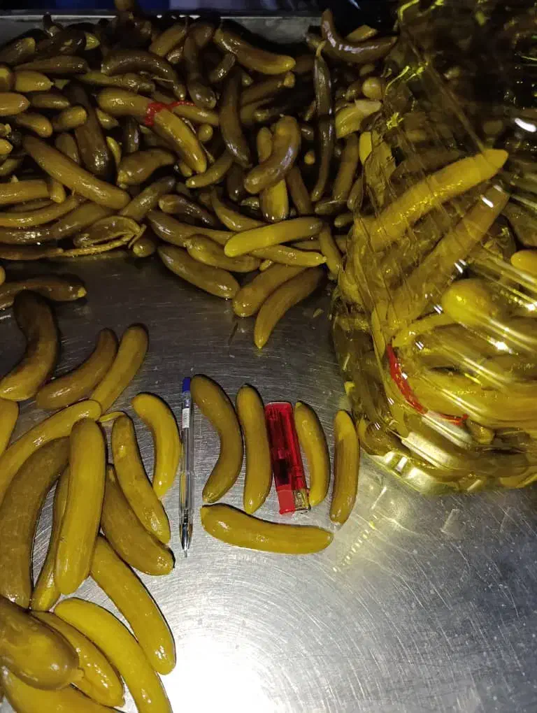 پخش خیارشور فله و حلب|خوردنی و آشامیدنی|پاسارگاد, |دیوار