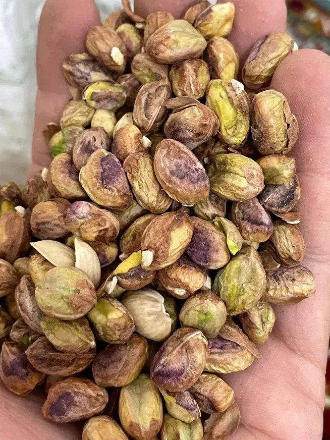 مغز پسته|خوردنی و آشامیدنی|تهران, مجیدیه|دیوار