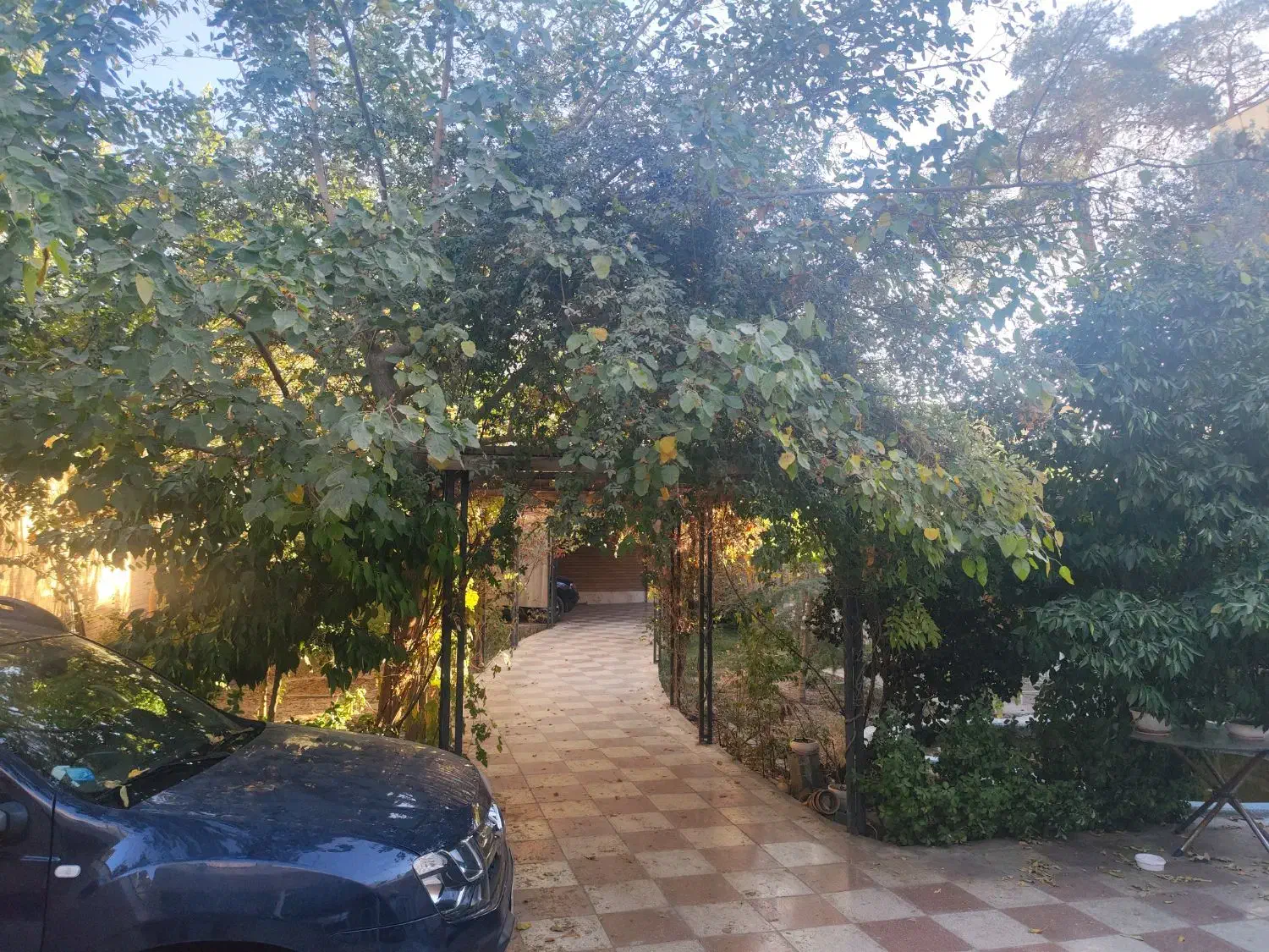 هتل پانسیون پت مراقبت سگ و حیوانات خانگی کوکو|خدمات پیشه و مهارت|اصفهان, عباس‌آباد|دیوار