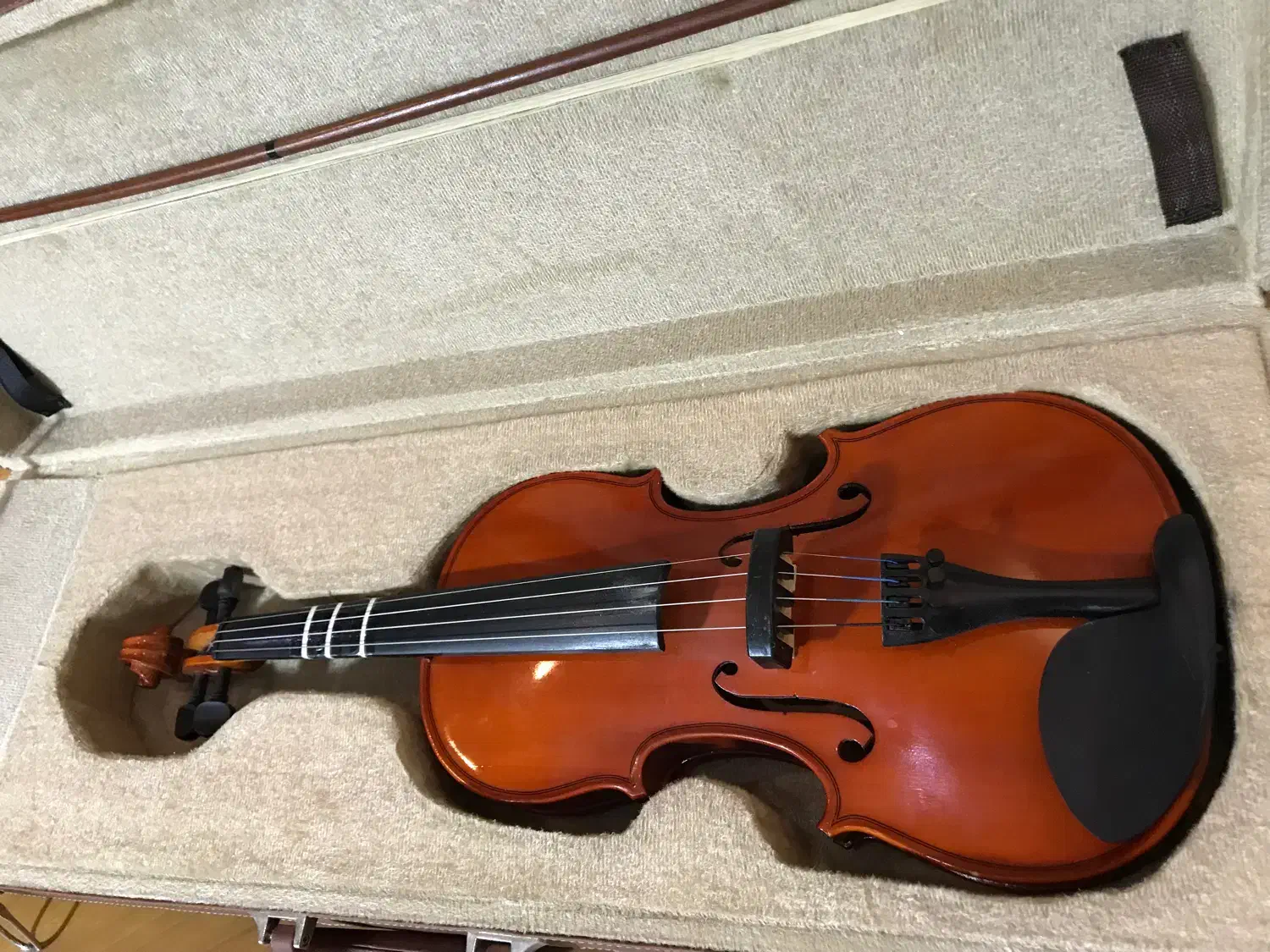 ویولن|ویولن|رشت, بلوار گیلان|دیوار