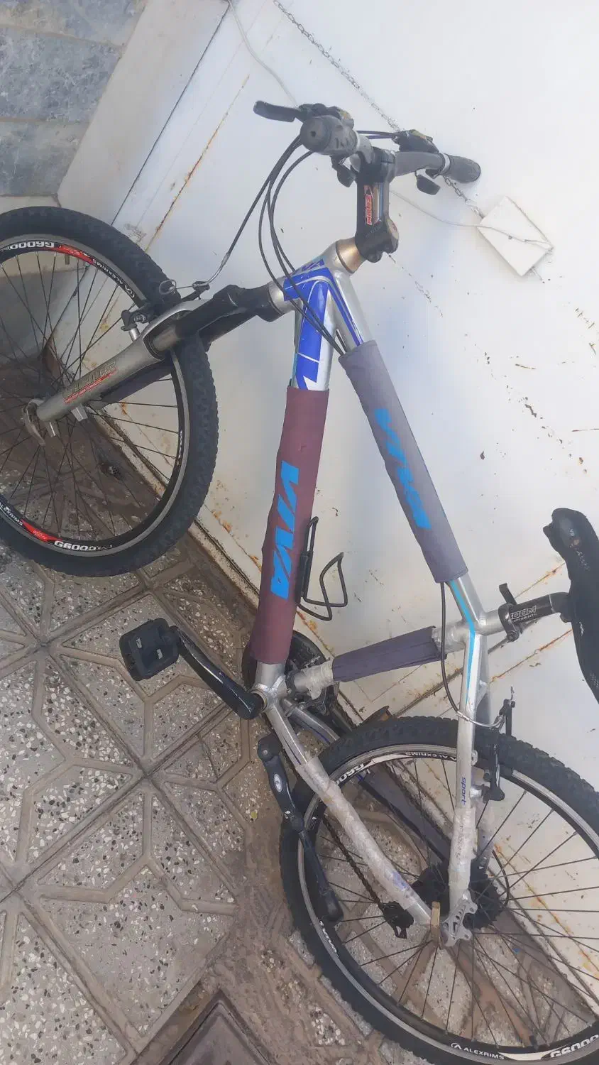 دوچرخه|دوچرخه، اسکیت، اسکوتر|بردسکن, |دیوار