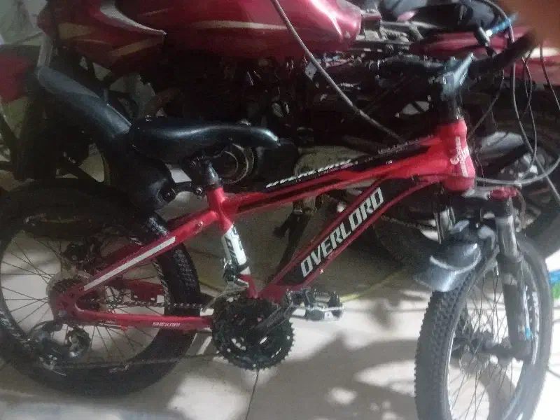 دوچرخه|دوچرخه، اسکیت، اسکوتر|تهران, هلال احمر|دیوار