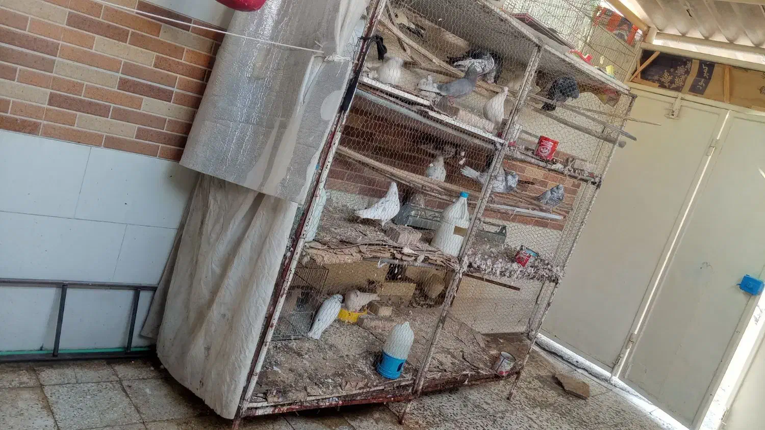 قفس|لوازم جانبی حیوانات|اهواز, منبع اب|دیوار