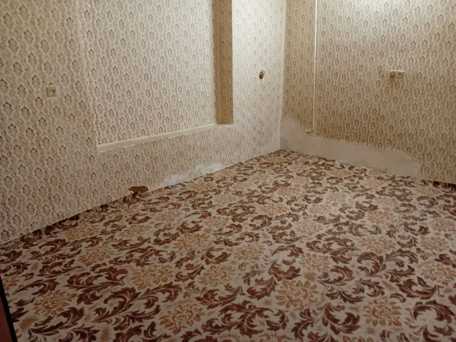 رهن اجاره|اجارهٔ خانه و ویلا|مشهد, فتح المبین|دیوار