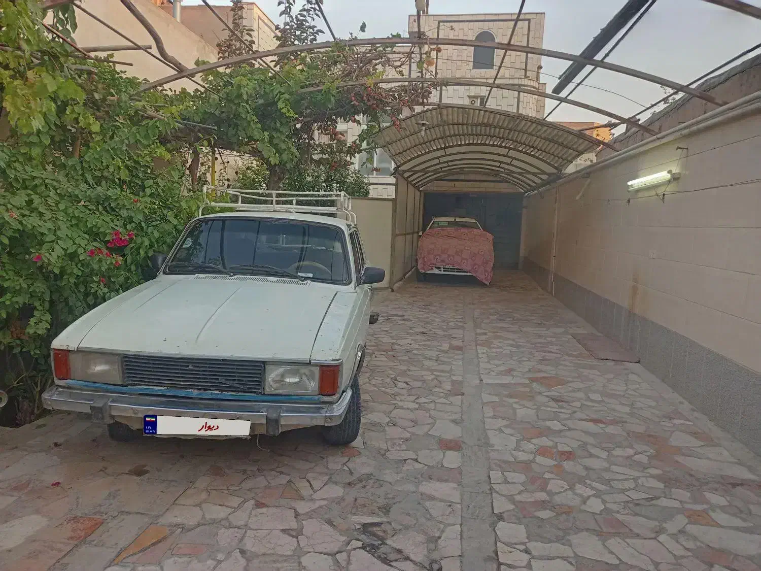 پیکان 81|خودرو سواری و وانت|نجف‌آباد, امام خمینی|دیوار