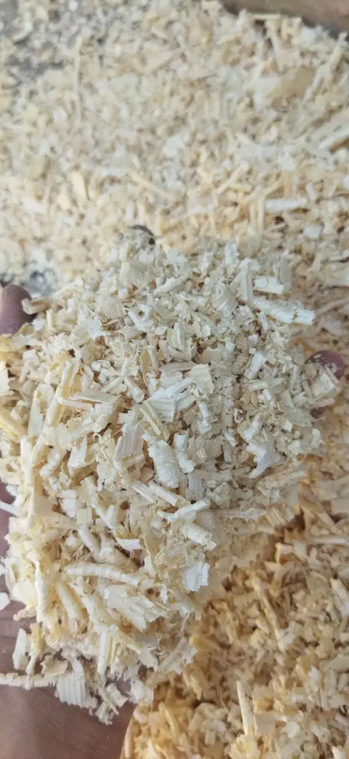 پوشال چوب نراد|لوازم جانبی حیوانات|رستمآباد, |دیوار