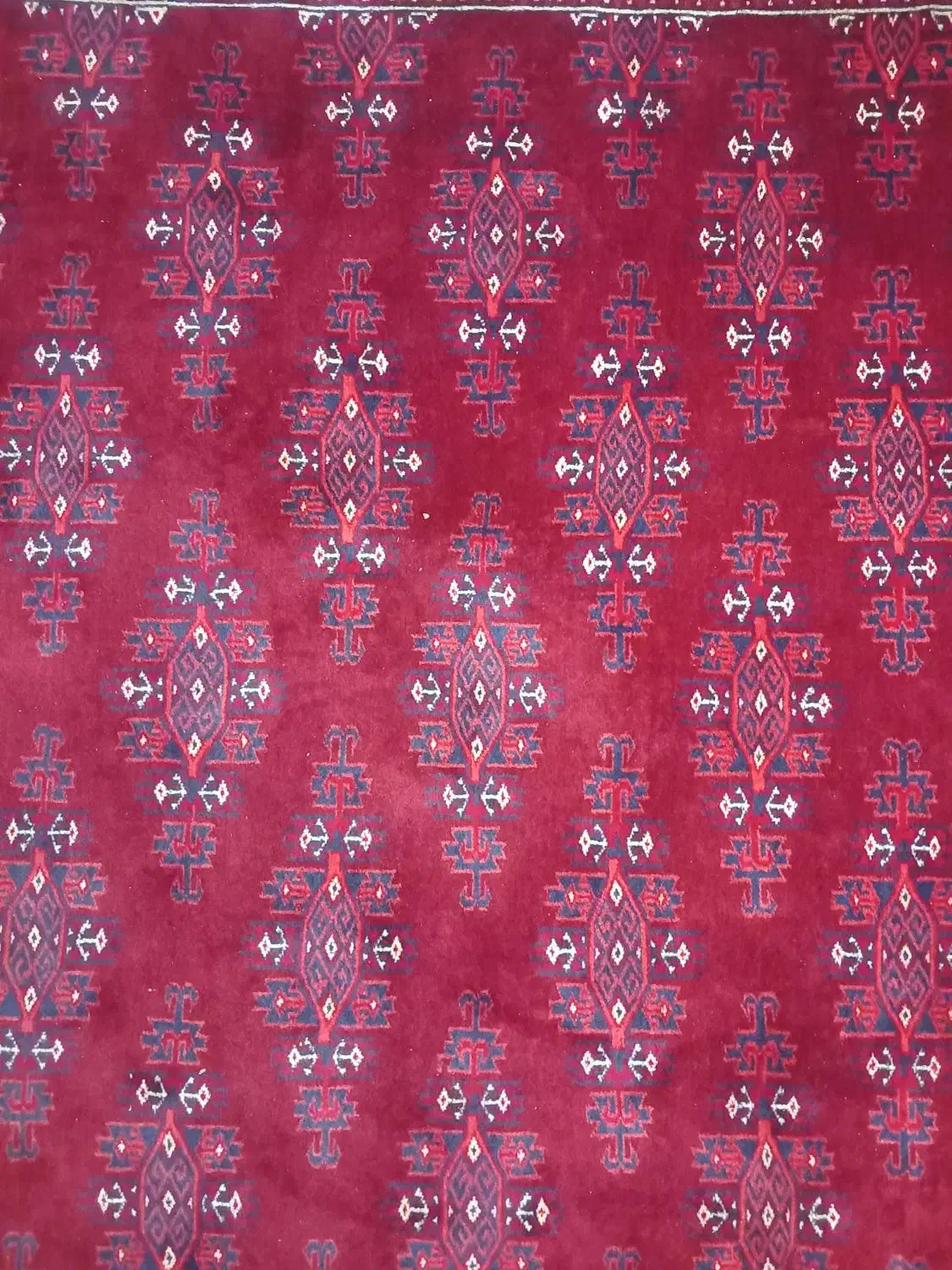 قالی دست بافت|فرش|گنبد کاووس, |دیوار