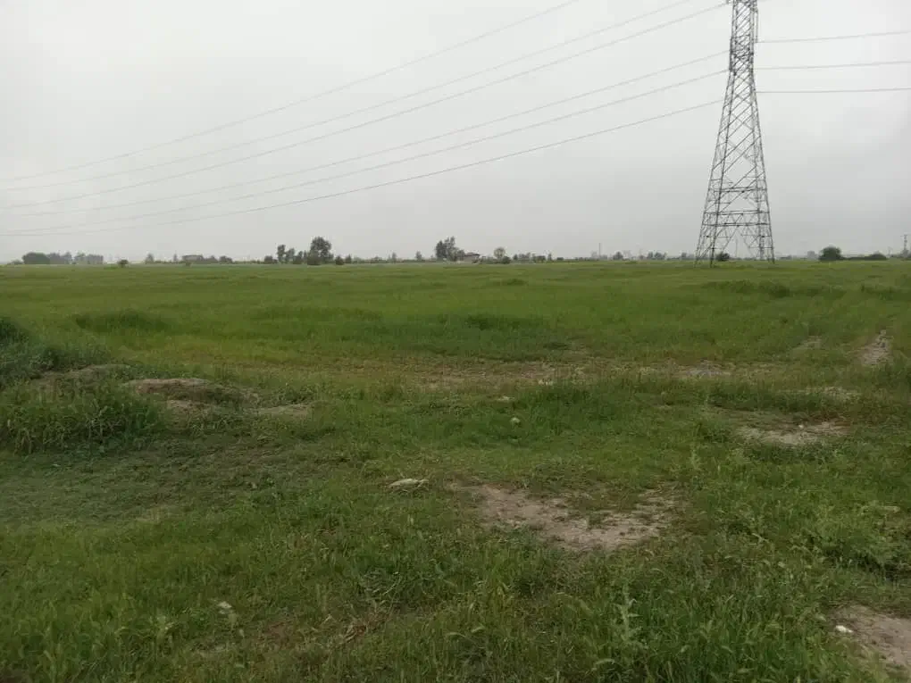 زمین وباغ مرغداری|فروش دفتر صنعتی، کشاورزی، تجاری|آق قلا, |دیوار