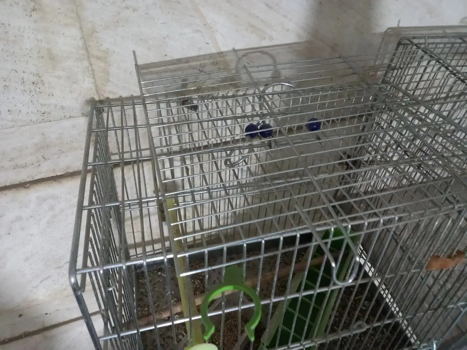 قفس پرنده|لوازم جانبی حیوانات|اصفهان, باغ دریاچه|دیوار