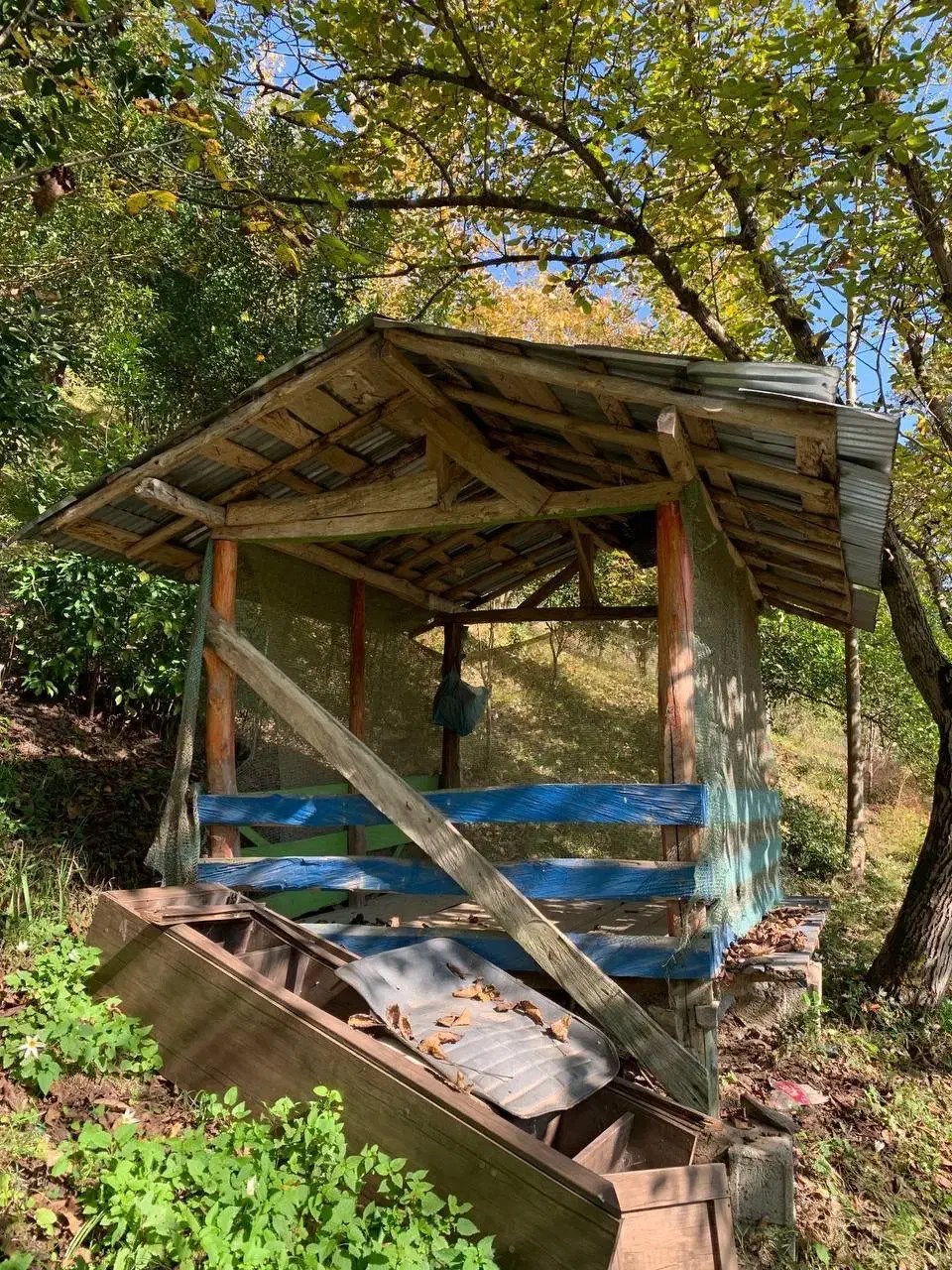 فرصت استثنایی خریدزمین۱۰۰۰۰متری بازیرساخت کامل|فروش زمین و ملک کلنگی|اطاقور, |دیوار