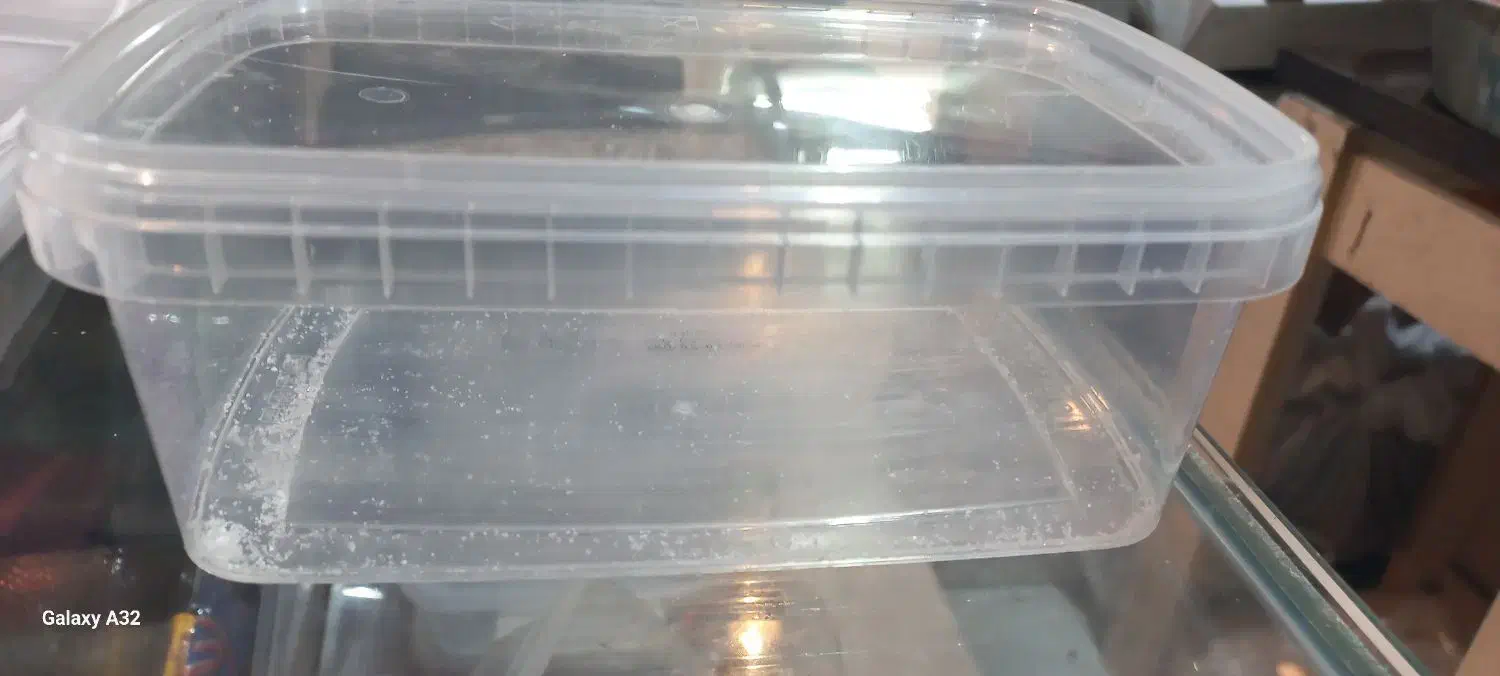 ظرف پلاستیکی|ظروف نگهدارنده، پلاستیکی، یکبارمصرف|مشهد, رضاییه|دیوار