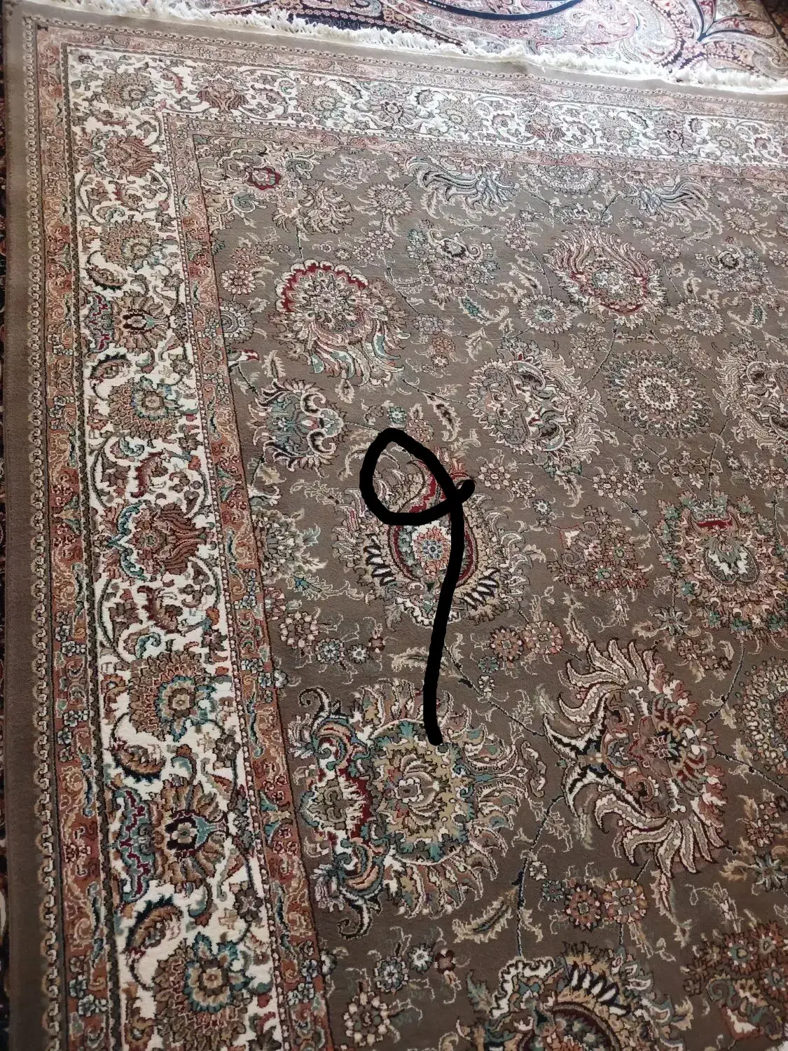وسایل منزل|حراج|شیراز, مسلم|دیوار