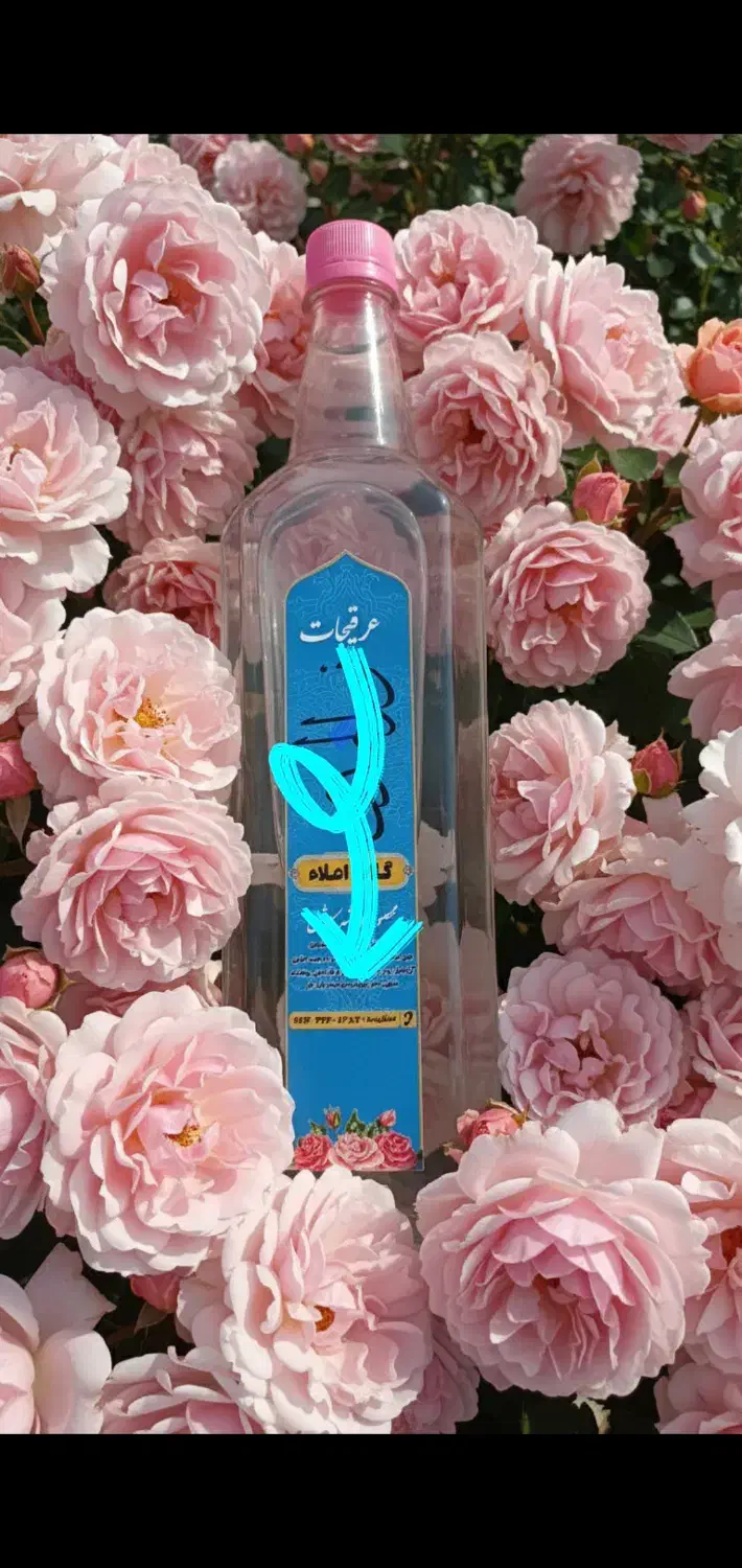 ساخت عکس برای تولید محتوا|خدمات رایانه‌ای و موبایل|کاشان, فاز ۱ ناجی آباد|دیوار