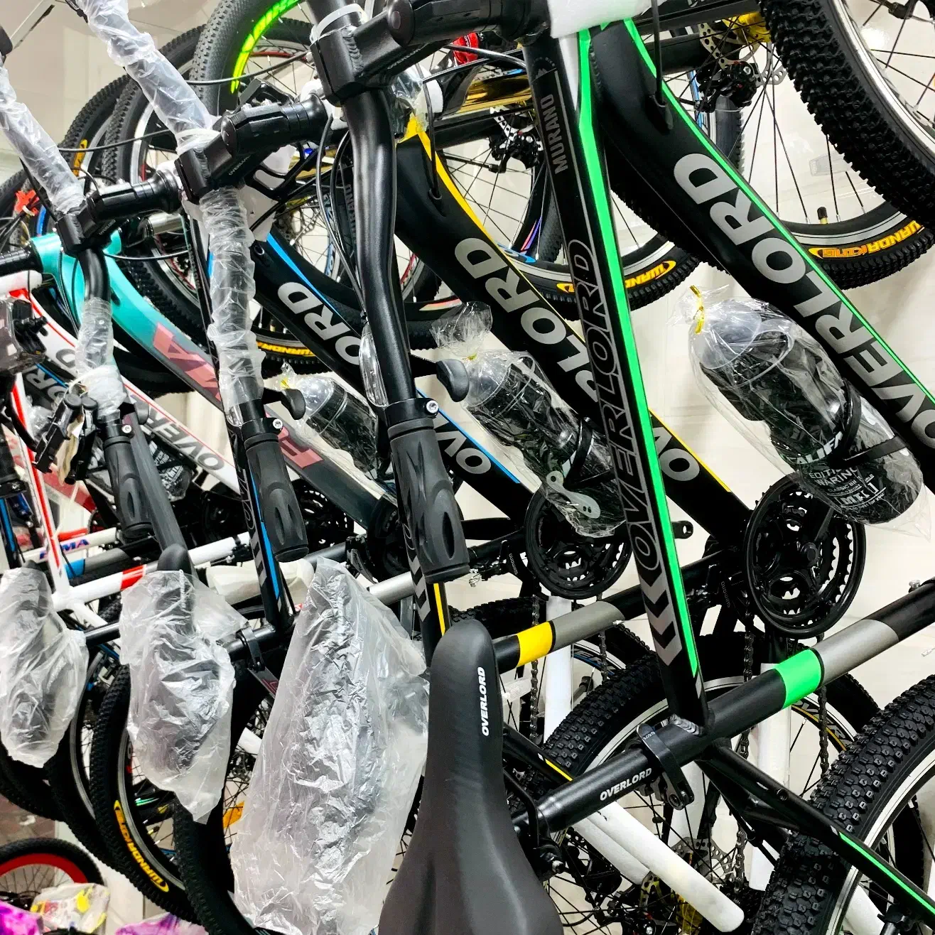 انواع دوچرخه در مدل های مختلف دوچرخه بندرعباس|دوچرخه، اسکیت، اسکوتر|بندرعباس, |دیوار