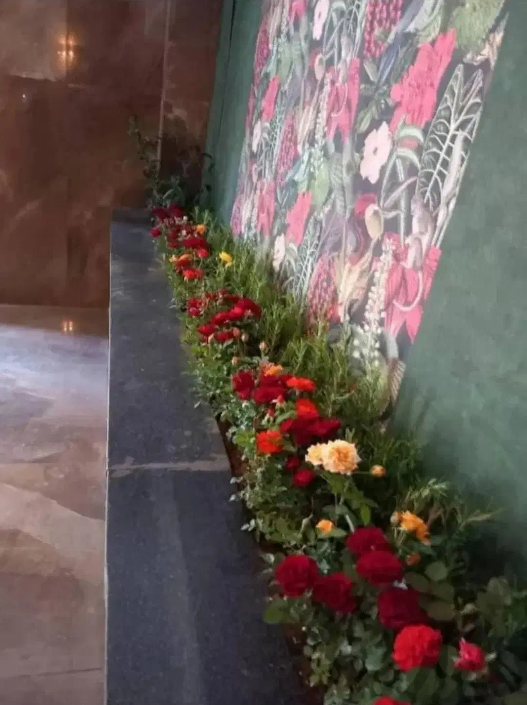 خدمات باغبانی گلکاری هرس کاری  تعویض خاک گلدان|خدمات باغبانی و درختکاری|کرج, فاز ۱ مهرشهر|دیوار