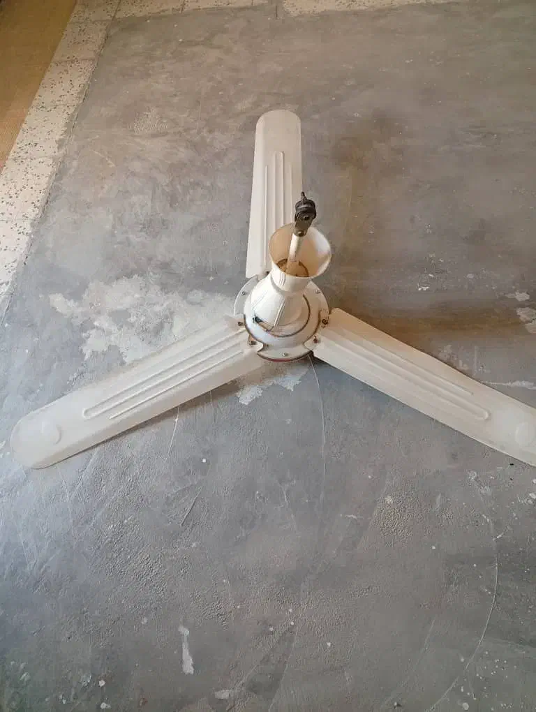 فروش پنکه سقفی|پنکه و تصفیه‌کنندهٔ هوا|لیکک, |دیوار