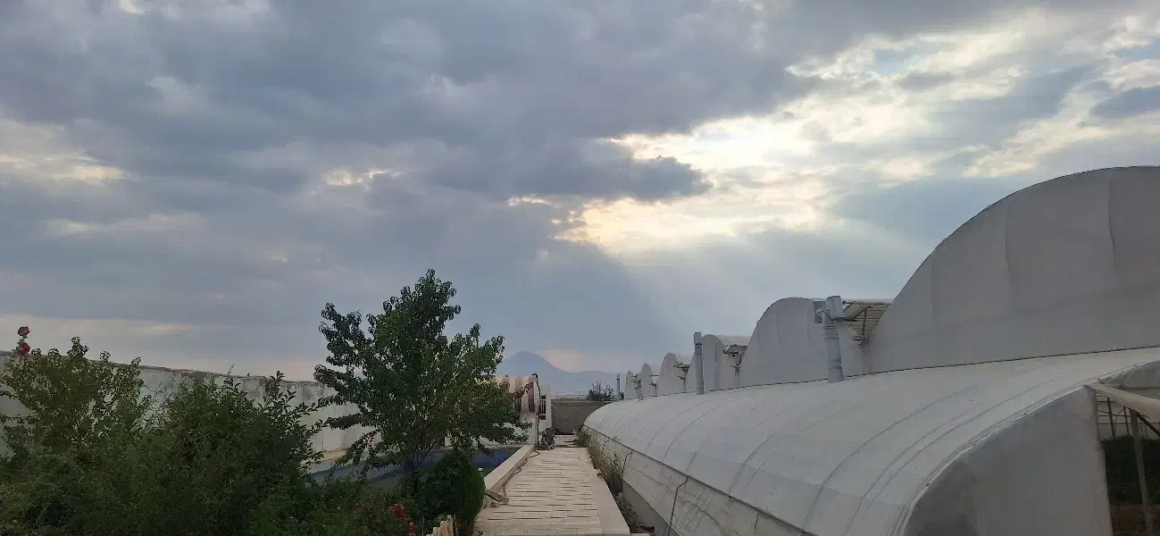 اجاره گلخانه ۲۵۰۰ متری|اجارهٔ دفتر صنعتی، کشاورزی، تجاری|بهار, |دیوار