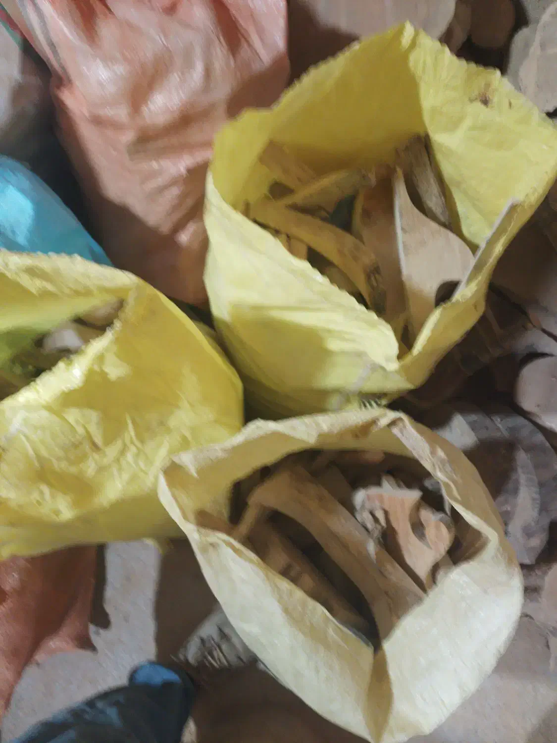 خرده چوب جنگلی|عمده‌فروشی|بندر انزلی, تربه گوده|دیوار