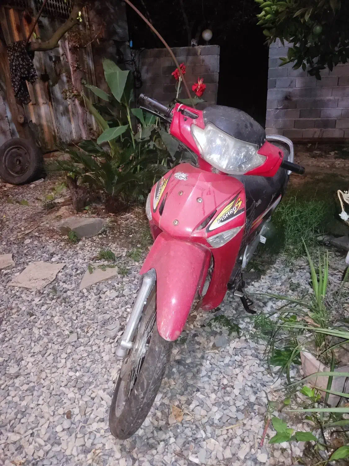 موتور بی کلاچ دارای برگه اوراق|موتورسیکلت|جویبار, |دیوار