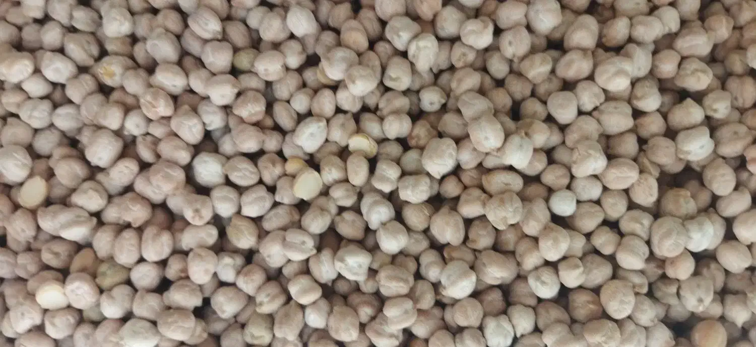حبوبات|خوردنی و آشامیدنی|اصفهان, لیمجیر|دیوار