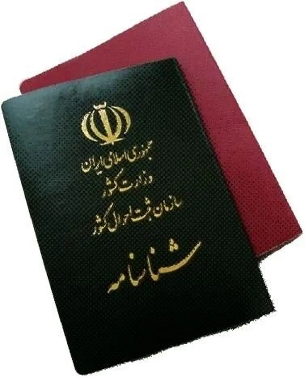 شناسنامه پیدا شده|اشیا|همدان, |دیوار