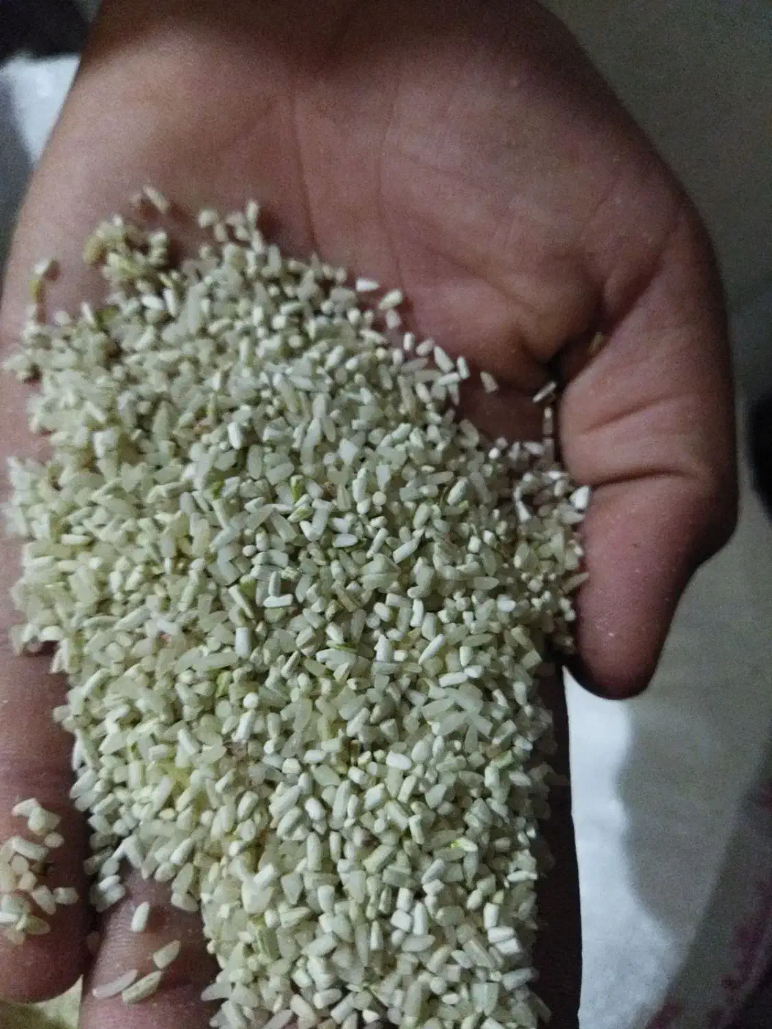 برنج ضیغمی درجه یک. 3کیلو 700 نیم دانه120|خوردنی و آشامیدنی|ایلام, |دیوار