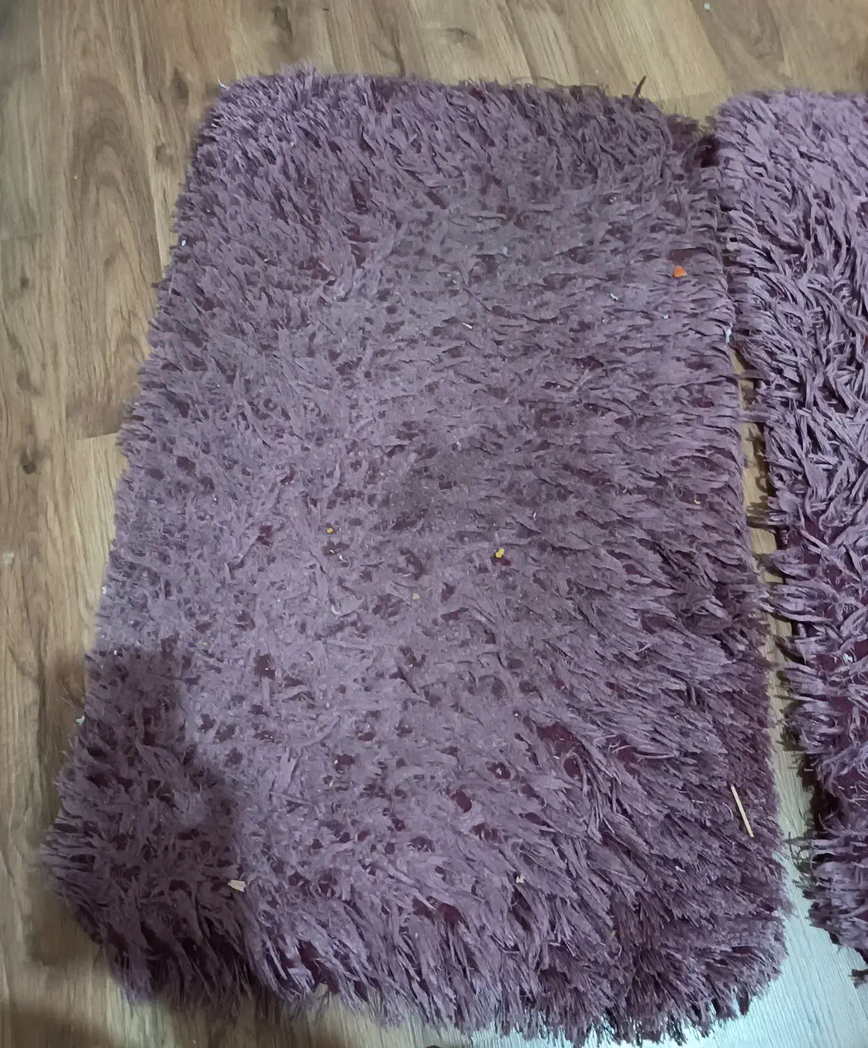 دوعددپادری 300 تومان|پادری|مشهد, شهید مطهری|دیوار