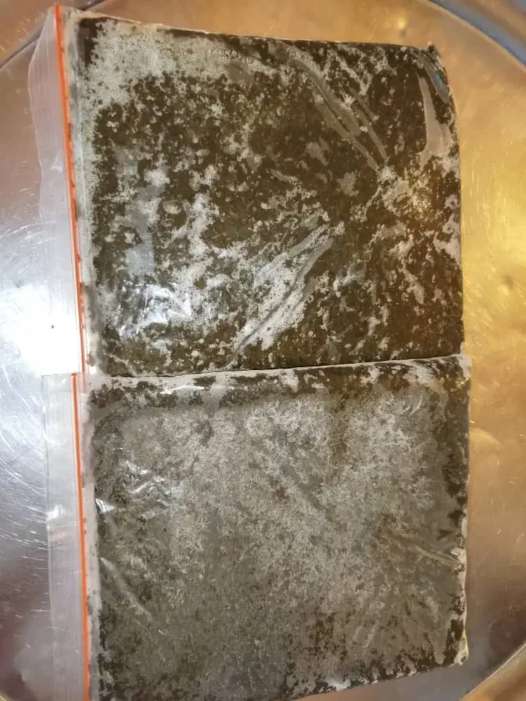 سبزی خورشتی|خوردنی و آشامیدنی|دره شهر, |دیوار