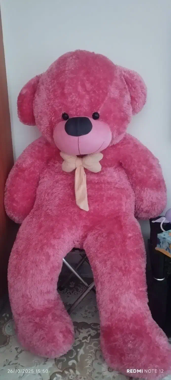 خرس بزرگ|اسباب‌بازی بچه|زاهدان, |دیوار