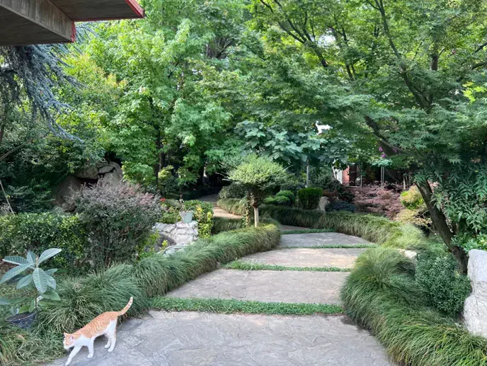 استخدام سرایداری|استخدام سرایداری و نظافت|نوشهر, |دیوار