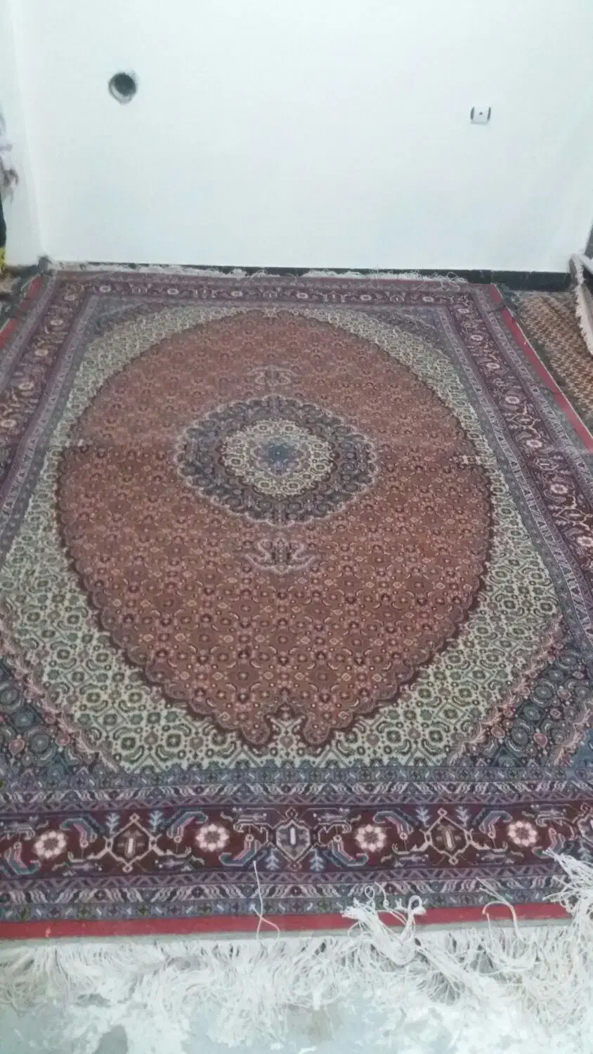 یک جفت فرش ۶ متری دستباف ریزه ماهی|فرش|اردبیل, |دیوار